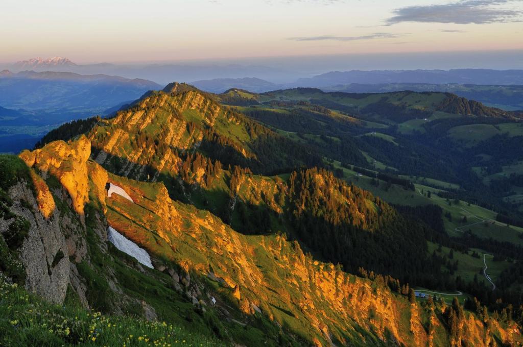 Alpin & Wellness Resort Hotel Ludwig Royal Oberstaufen Zewnętrze zdjęcie